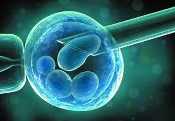 哪些因素影响泰国试管婴儿胚胎质量