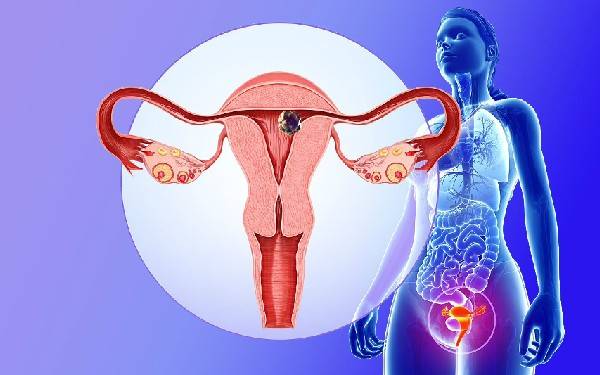 女性一年中做试管婴儿使用来曲唑促排卵最多能促排几次