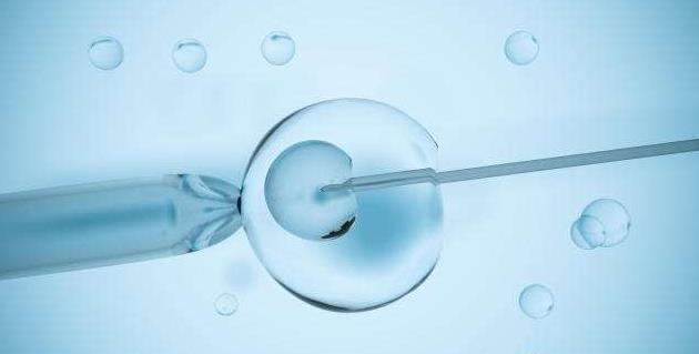 试管移植40天胚胎多大胚胎的长情况了解一下