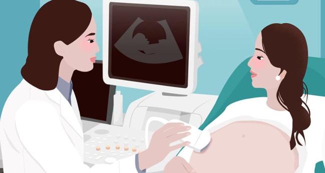 高龄女性做试管移植2个鲜胚的着床成功率有多高