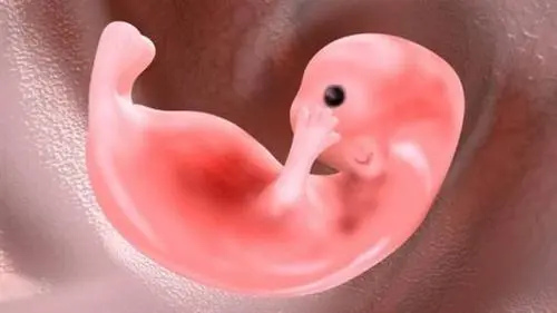 卵巢功能减退做泰国试管婴儿成功案例分享